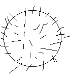 http://www.shinmugen.net/couille.gif
